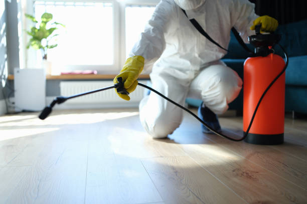 Reliable Odor Removal contractor in Huron, CA by Trauma Clean Pros